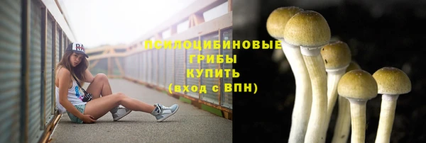 дурь Баксан