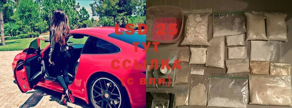 эйфоретик Строитель