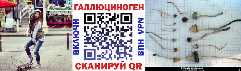цена наркотик ссылка на мегу tor Псилоцибиновые грибы ЛСД Белоусово